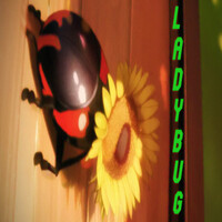 Ladybug