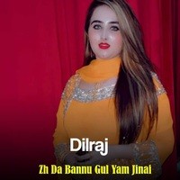 Zh Da Bannu Gul Yam Jinai