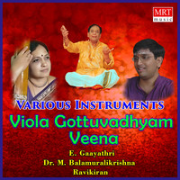 Viola Gottuvadhyam Veena (Instrumental)