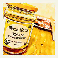 Black Keys Honey