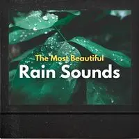 The Most Beautiful Rain Sounds