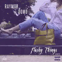 Flashy Things (Acoustic)