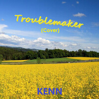 Troublemaker (Cover)