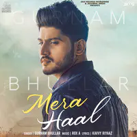 Mera Haal