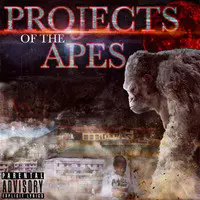 Projects of the Apes