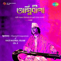 Agnibeena-Classical Kazi Nazrul Islam Cd 3