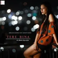 Tere Bina