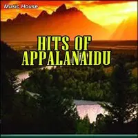 Hits Of Appalanaidu