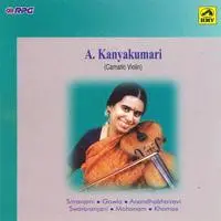 A Kanyakumari Dudukugala Violin