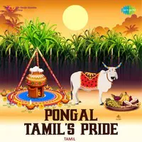 Pongal - Tamils Pride