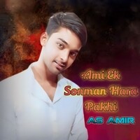 Ami Ek Sonman Hara Pakhi