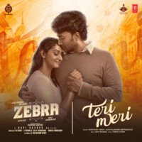 Teri Meri (From "Zebra")