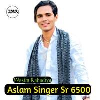 Aslam Singer Sr 6500