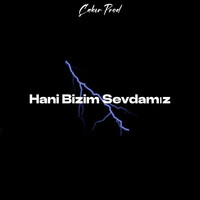 Hani Bizim Sevdamız