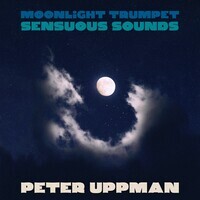 Moonlight Trumpet - Sensuous Sounds