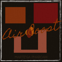 Air Roost