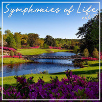 Symphonies of Life, Vol. 27 - The Symphonies Nos 10 Vol. 2