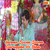 Insaan Soona Soona Gurugyan Ke Bina