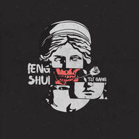 Feng shui