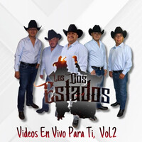 Videos En Vivo Para Ti, Vol. 2