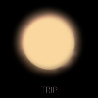 Trip