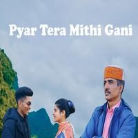 Pyar Tera Mithi Gani