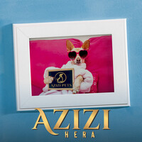 Azizi (Azizi Pets Official Soundtrack)