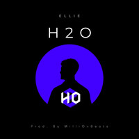 H2O