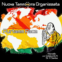 Purtamm Pace