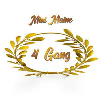 4 Gang