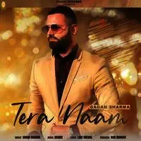 Tera Naam