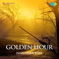 Golden Hour - Narinder Biba