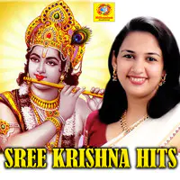 Sree Krishna Hits
