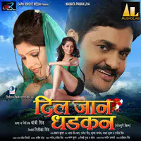 Dil Jaan Dhadkan (Original Motion Picture Soundtrack)