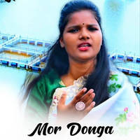 Mor Donga