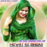 MEWAT KE BINDAS