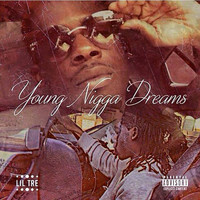Young Nigga Dreams, Vol. 1