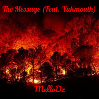 The Message