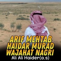 Ali Ali Haider(a.s)