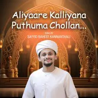 Aliyaare kalliyana puthuma chollan