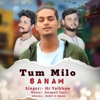 Tum Milo Sanam