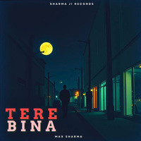 Tere Bina