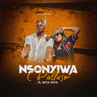 pallaso new song 2023 nsonyiwa