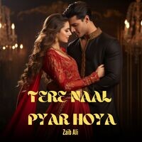 Tere Naal Pyar Hoya