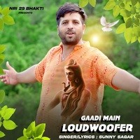 Gaadi Main Loudwoofer