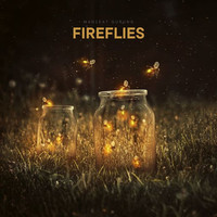 Fireflies