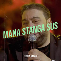 Mana Stanga Sus