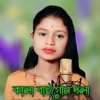 Kala Baigon Dhola