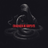 Charmeur De Serpents
