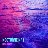 Nocturne n°1